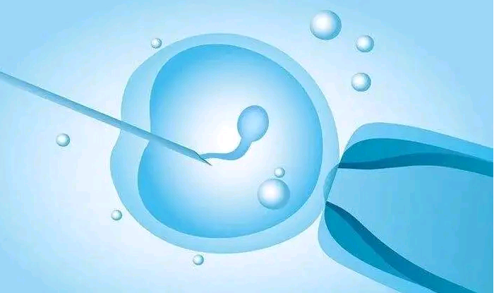 福州助孕包成功|赴美做试管婴儿前身体检查时间及意义