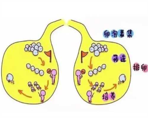 助孕双胞胎几率多大,台州私人试管助孕微信群真的存在吗？