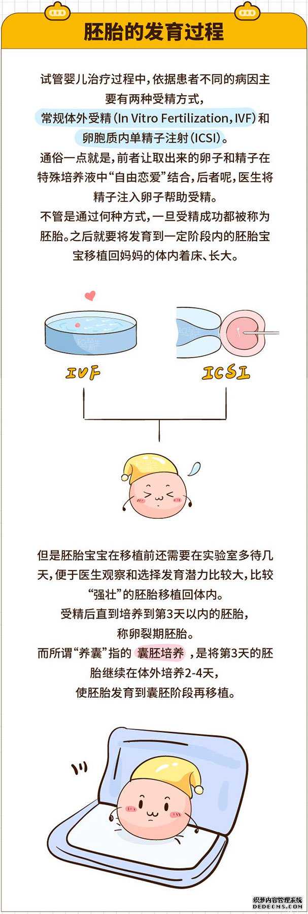 寿　县捐卵去哪_寿　县捐卵的时间_试管婴儿胚胎发育过程是怎样的