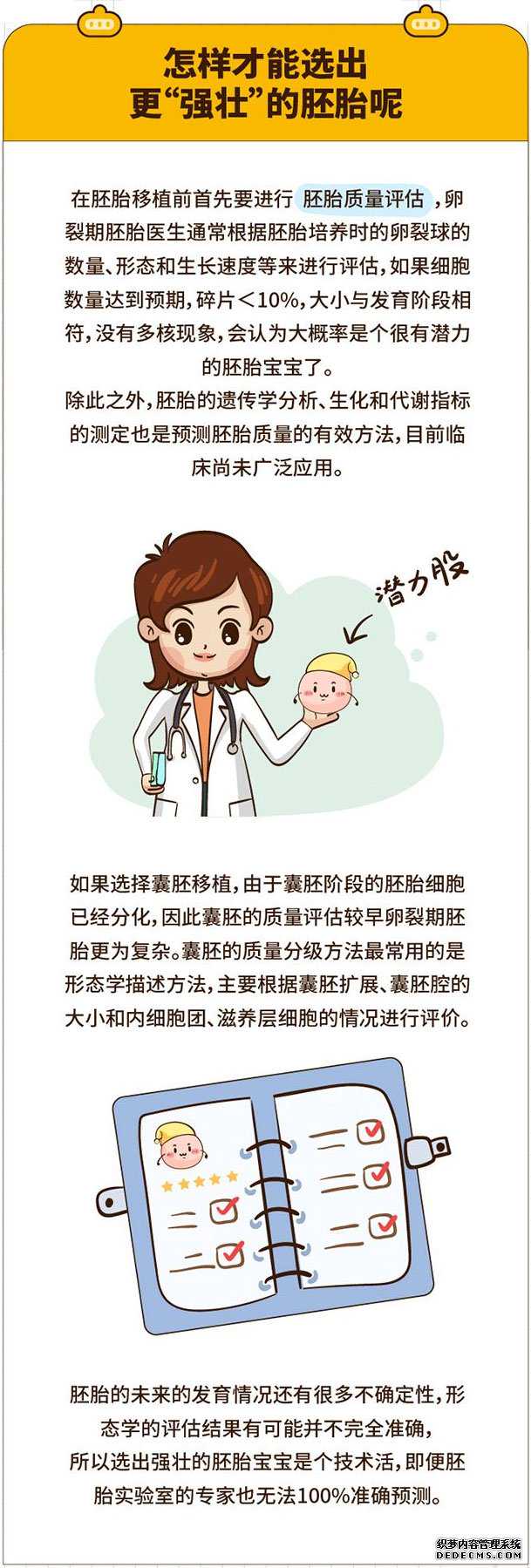 寿　县捐卵去哪_寿　县捐卵的时间_试管婴儿胚胎发育过程是怎样的