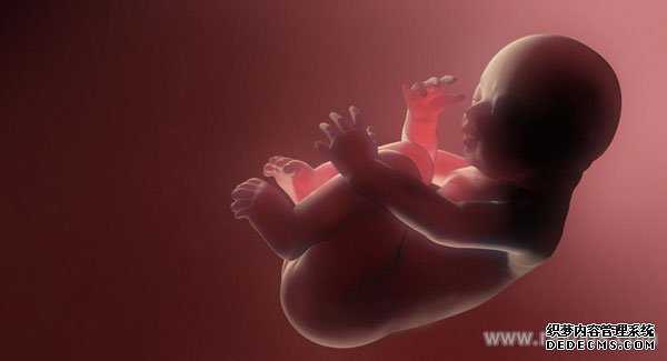 台安医院捐卵_试管婴儿成功，怀上孩子如何保胎
