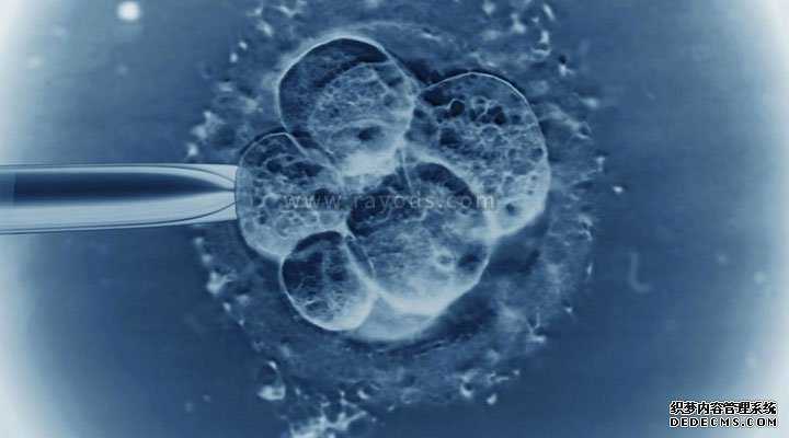 捐卵要多少钱_试管婴儿第五天的4bb囊胚质量到底怎么样？