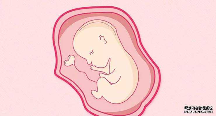 地下捐精捐卵_美国试管婴儿输卵管检查——输卵管造影术