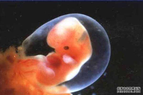 常州有捐卵子_试管婴儿成功移植后，最早多久可以验孕呢？