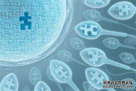 需捐卵试管_中国试管婴儿当妈，身体健康