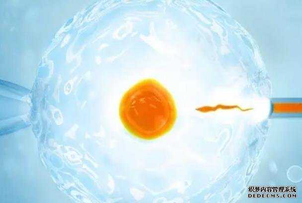 捐卵感染_大龄男性想做试管婴儿需要注意些什么？