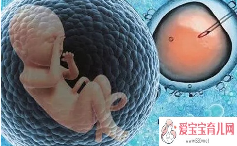 寻找有偿捐卵_胚胎冷冻对宝宝有影响试管婴儿冷冻胚胎有什么好处